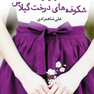 شکوفه های درخت گیلاس آموت