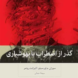 گذر از اضطراب با بهوشیاری بینش نو