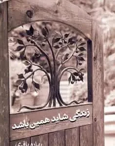 زندگی شاید همین باشد باقری آسیم