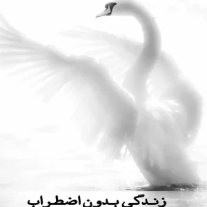 زندگی بدون اضطراب نسل نو اندیش