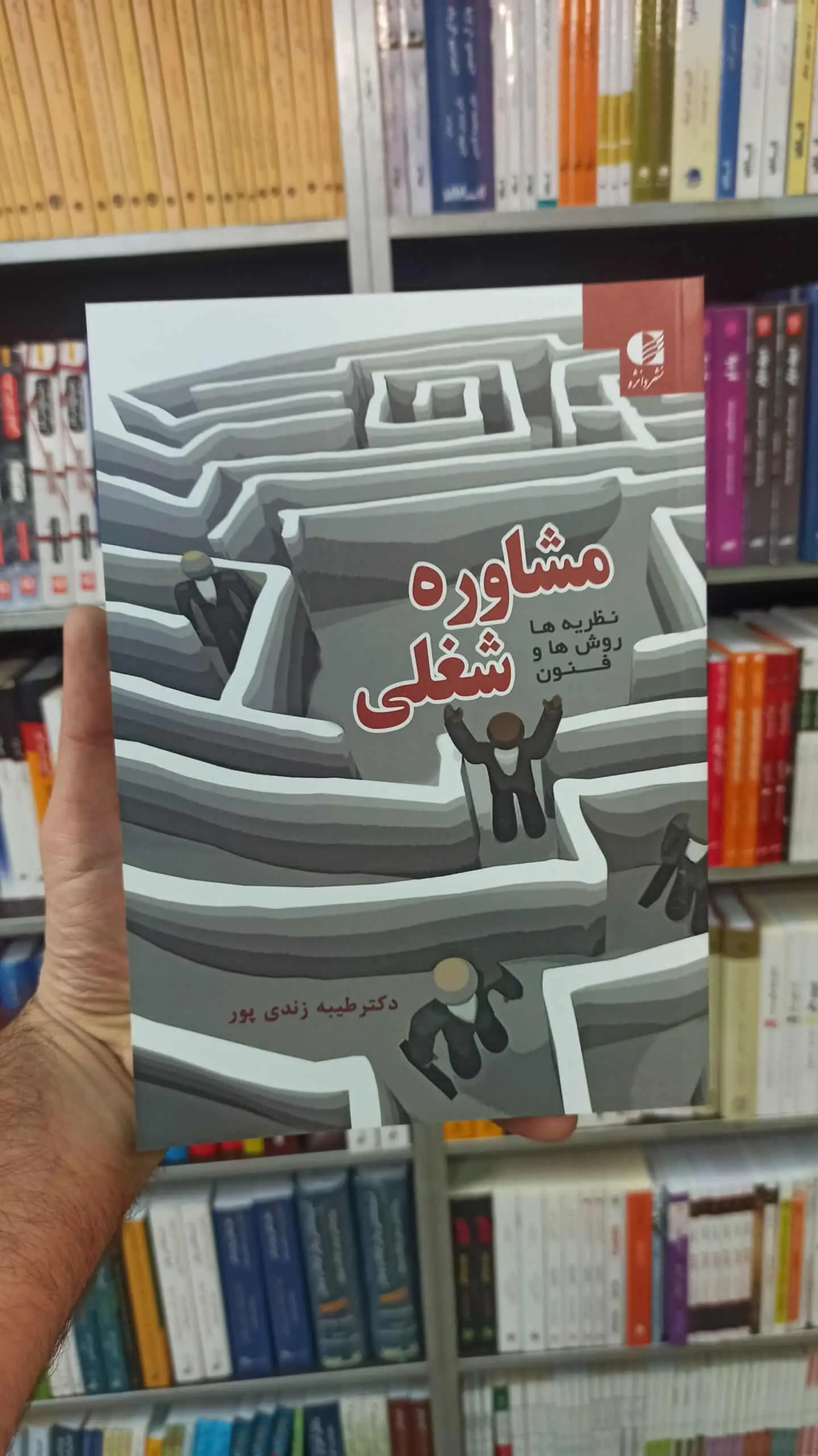 مشاوره شغلی : نظریه ها روش ها و فنون دانژه