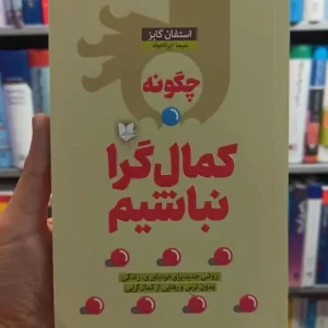 چگونه کمال گرا نباشیم استفان گایز آرایان