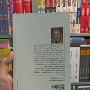 خودشناسی به روش یونگ دانیلز نشرنو