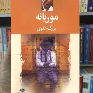 موریانه بزرگ علوی نگاه