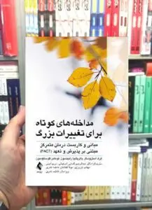 مداخله های کوتاه برای تغییرات بزرگ ارجمند