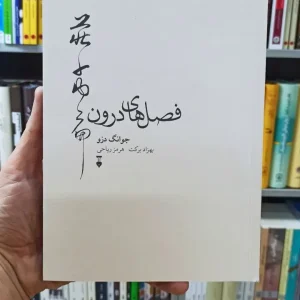 فصل های درون جوانگ دزو نشرنو