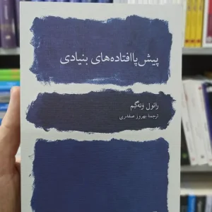 پیش پا افتاده های بنیادی رائول ونه گم نشرنو