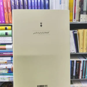 تاریخ زبان فارسی ناتل خانلری نشرنو