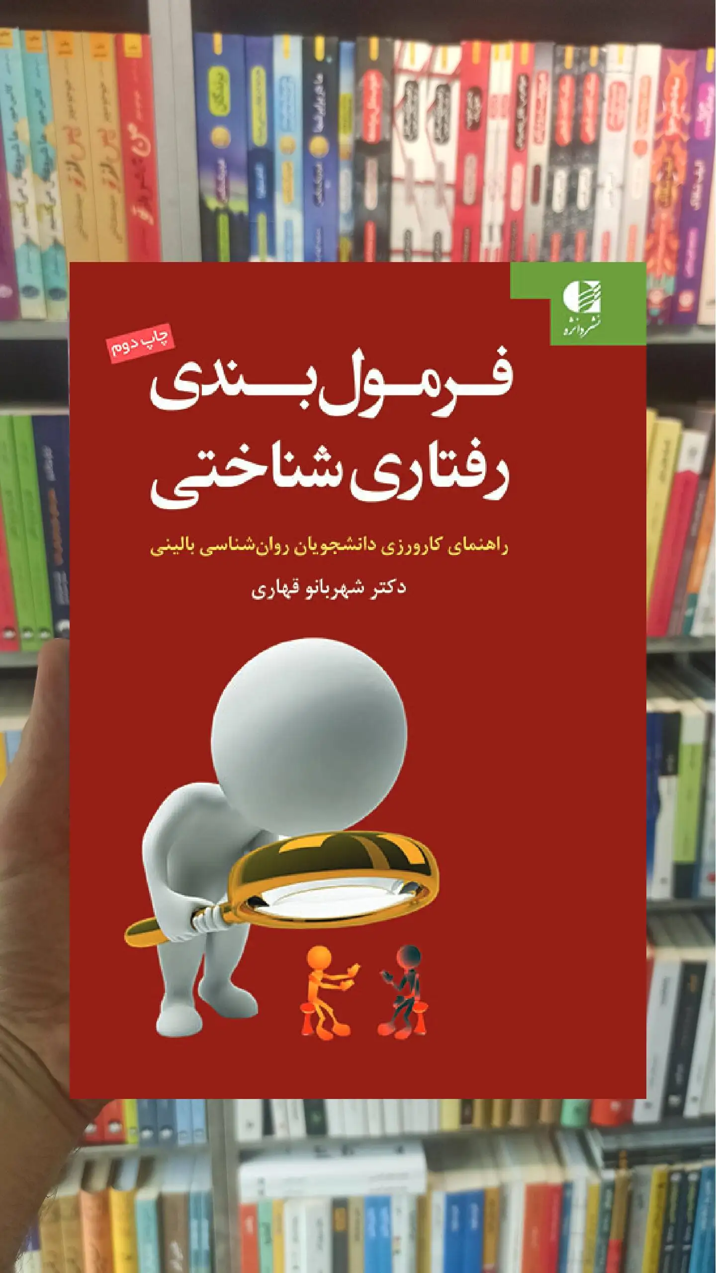 فرمول بندی رفتاری شناختی شهربانو قهاری دانژه