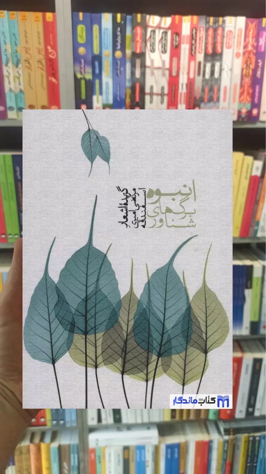 انبوه برگ های شناور مرتضی امیری اسفندقه سخن