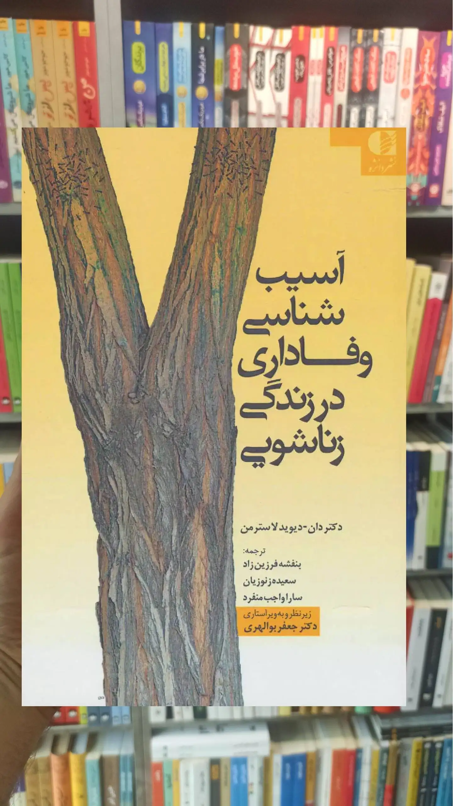 آسیب شناسی وفاداری در زندگی زناشویی دیوید لاسترمن دانژه