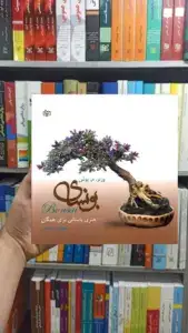 بونسای ( هنر باستانی برای همگان ) جوانه رشد