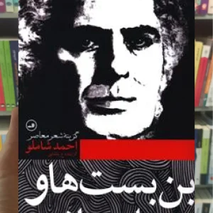 بن بست ها و ببرهای عاشق ثالث