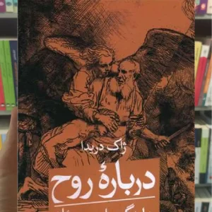 درباره روح هایدگر و این مسئله ثالث