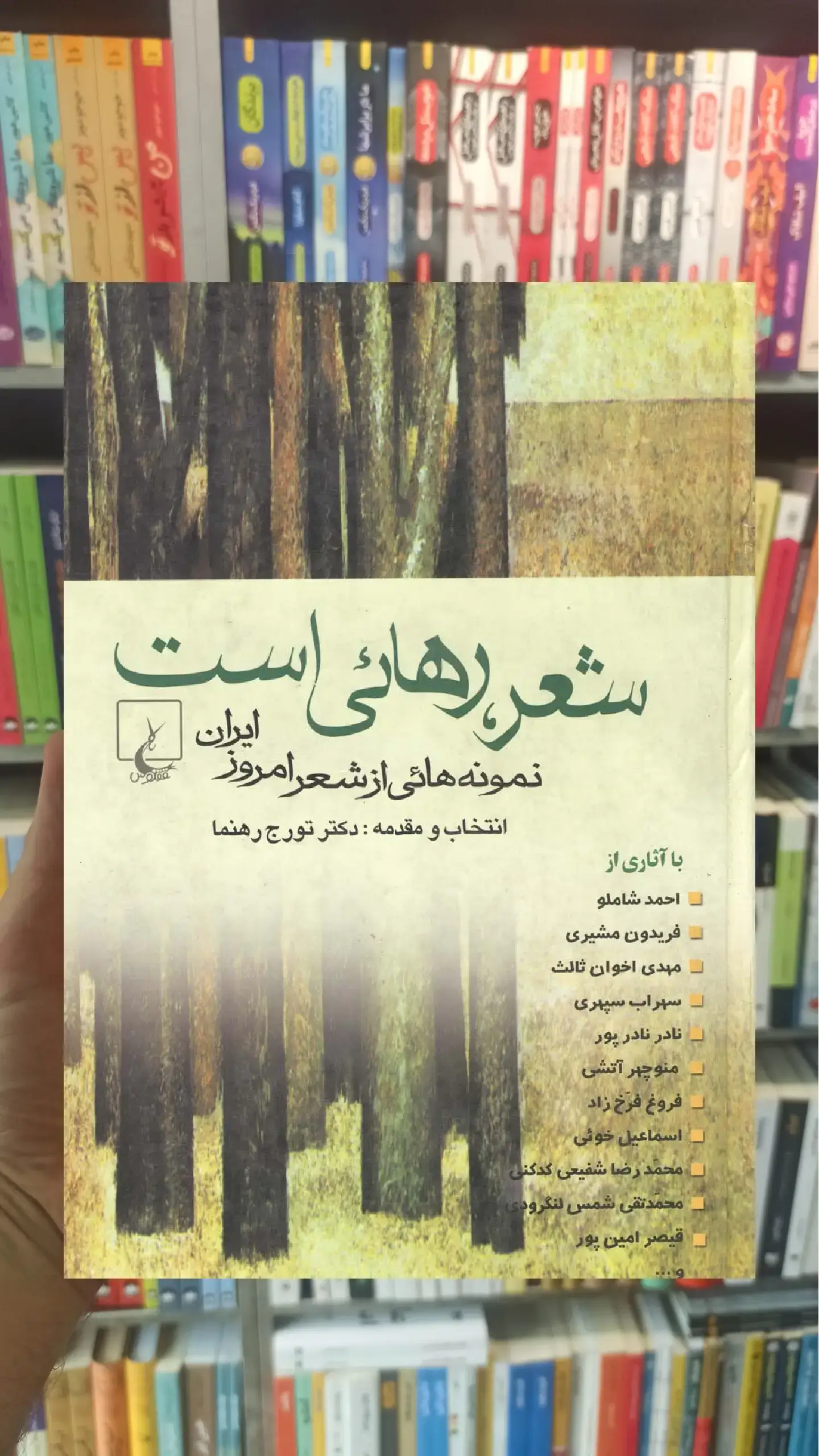 شعر رهایی است ققنوس