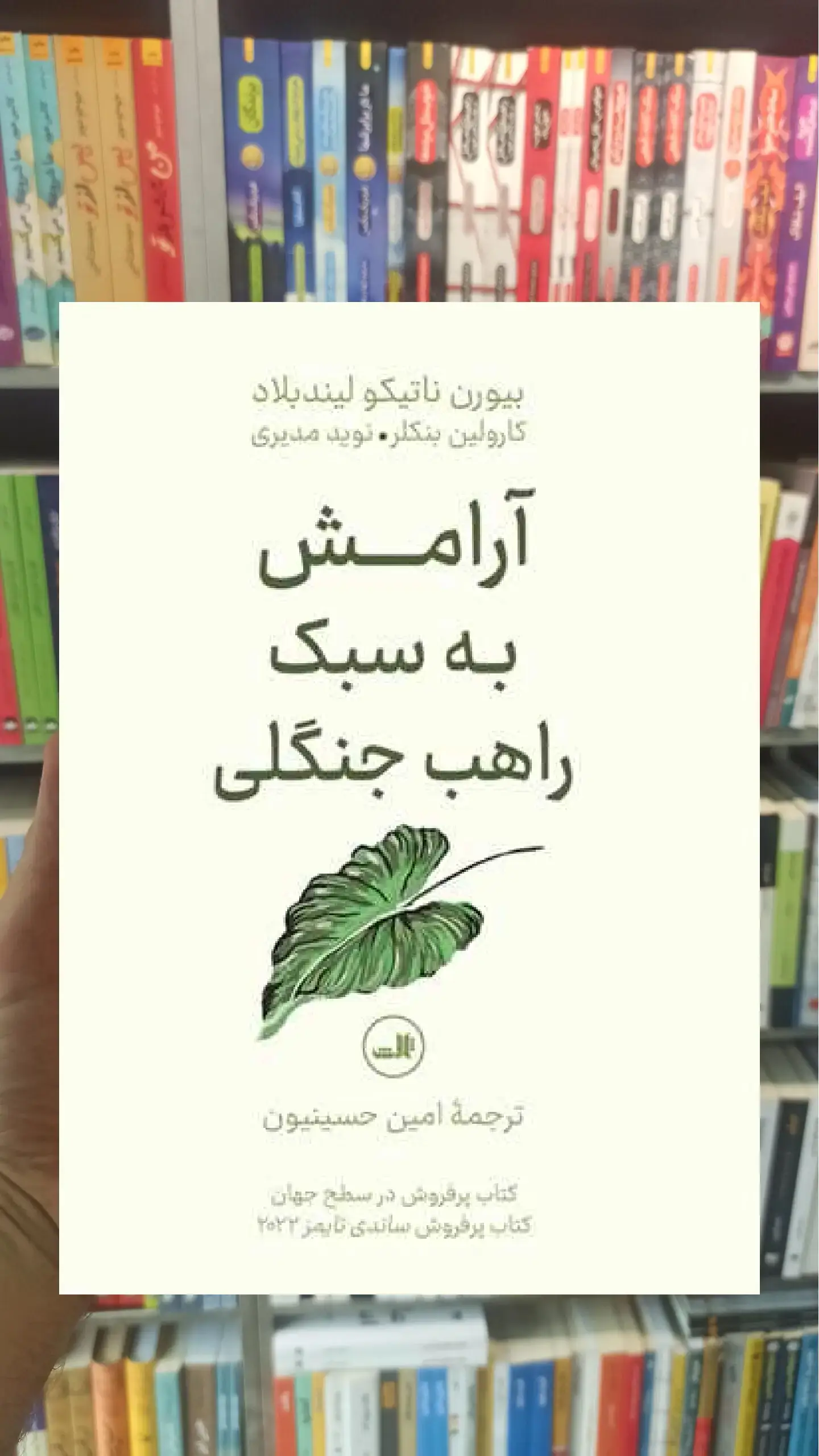 آرامش به سبک راهب جنگلی ثالث