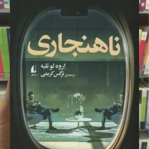 ناهنجاری افق