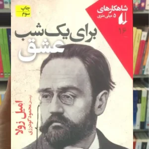 برای یک شب عشق افق