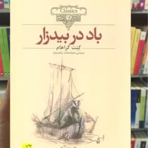 باد در بیدزار افق