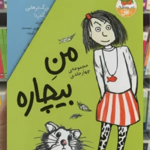 مجموعه من بیچاره 4جلدی با قاب افق