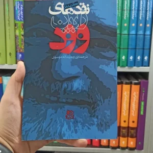 نقدهای رابین وود ساقی