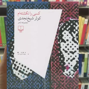 کسی را نکشته ام چشمه