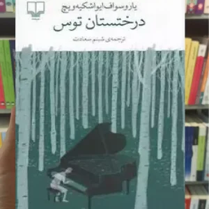 درختستان توس چشمه