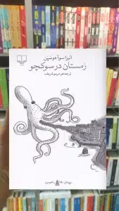 زمستان در سوکچو چشمه