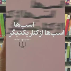 اسب ها اسب ها از کنار یکدیگر چشمه