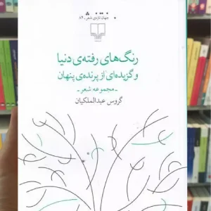 رنگ های رفته ی دنیا چشمه