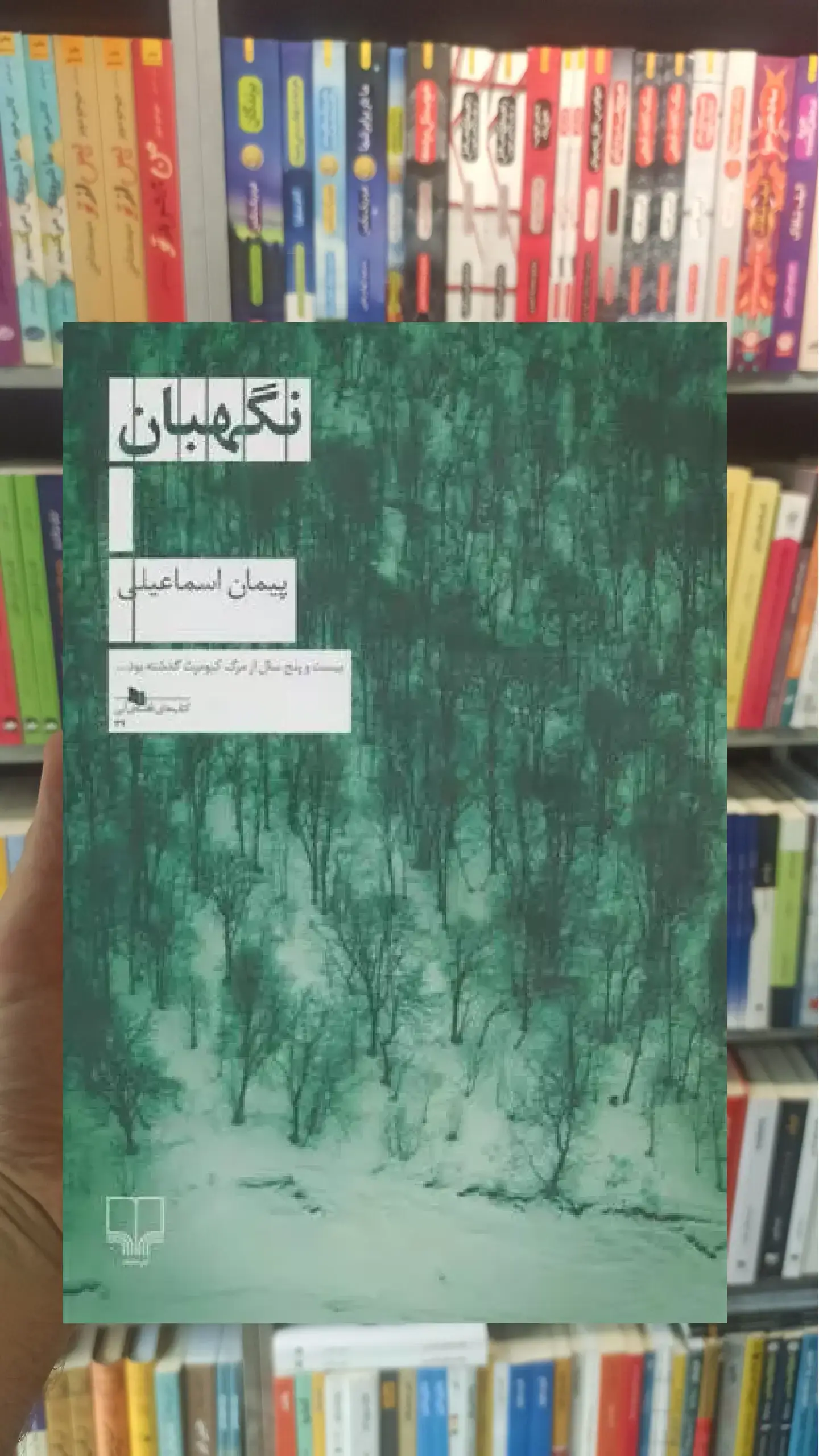 نگهبان چشمه