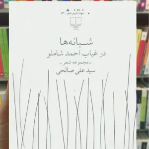 شبانه ها در غیاب احمد شاملو چشمه