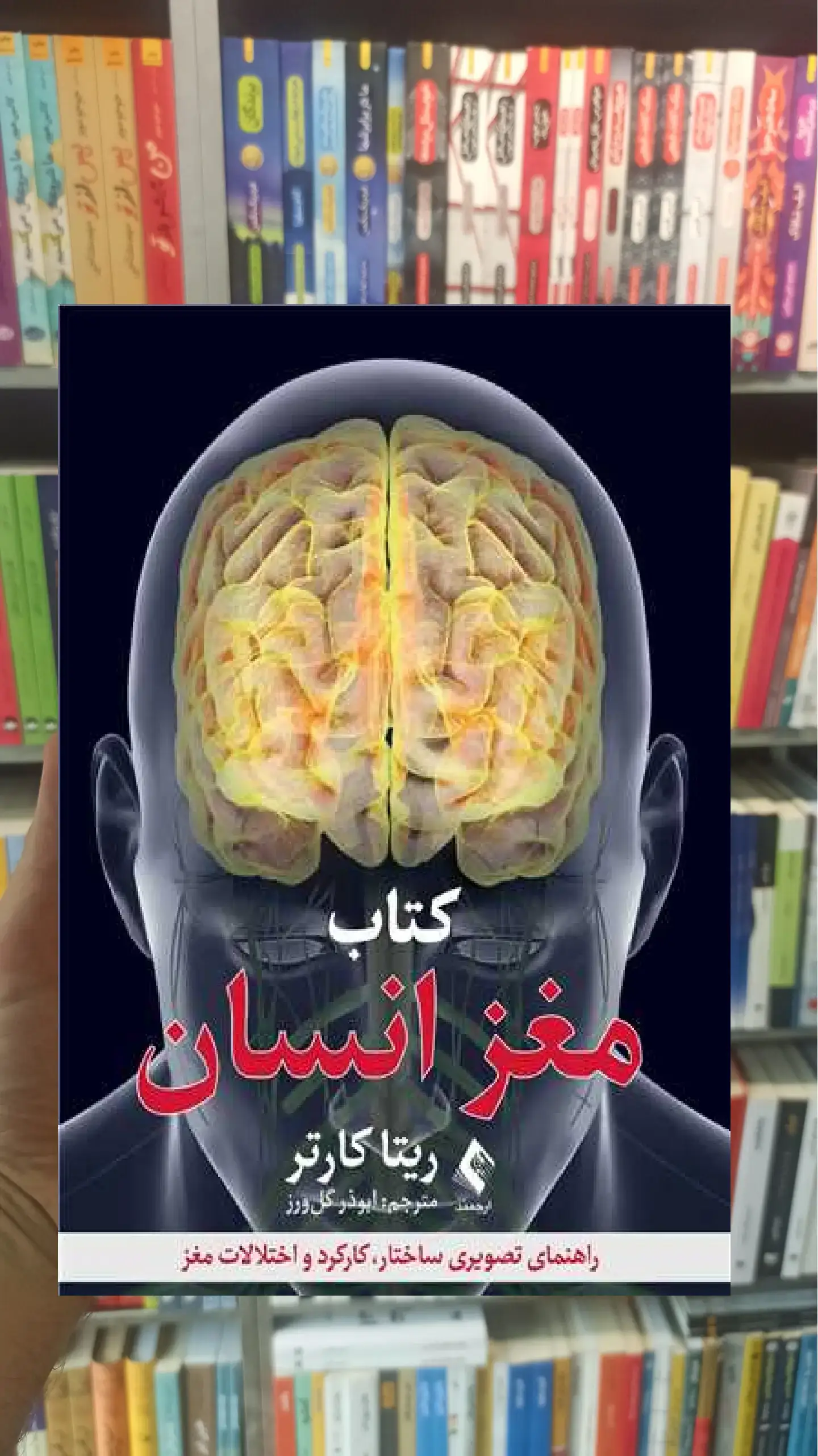 کتاب مغز انسان ارجمند