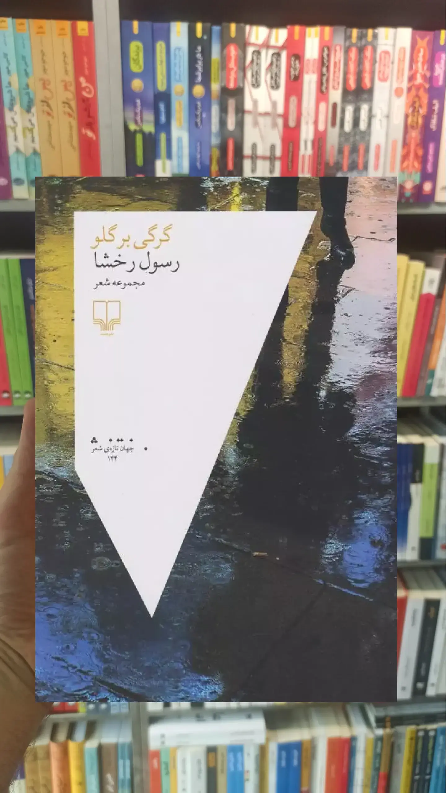 گرگی بر گلو چشمه
