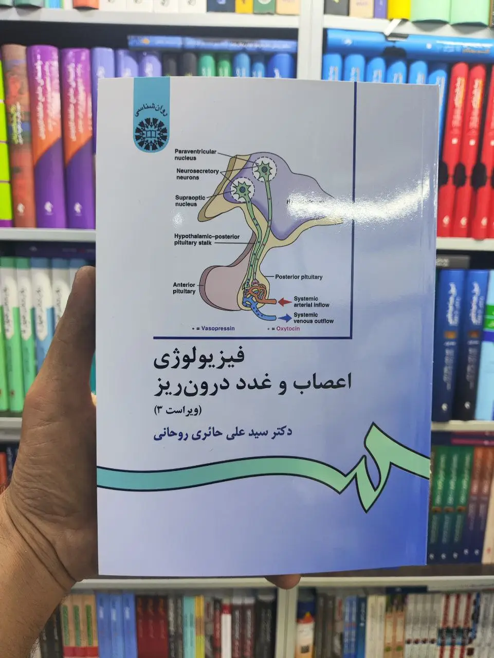 فیزیولوژی اعصاب و غدد درون ریز حائری سمت