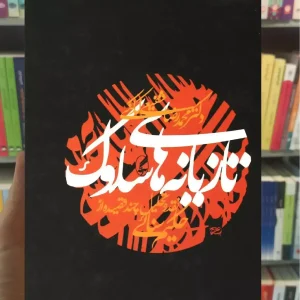 تازیانه های سلوک آگاه