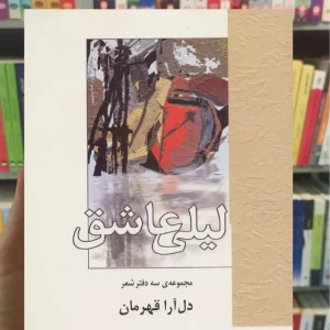 لیلی عاشق سخن