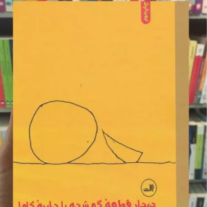 به دنبال قطعه گم شده سیلوراستاین ثالث