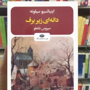 دانه ای زیر برف سیلونه نگاه