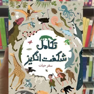 تکامل شگفت انگیز آنا کلیبورن نشرنو