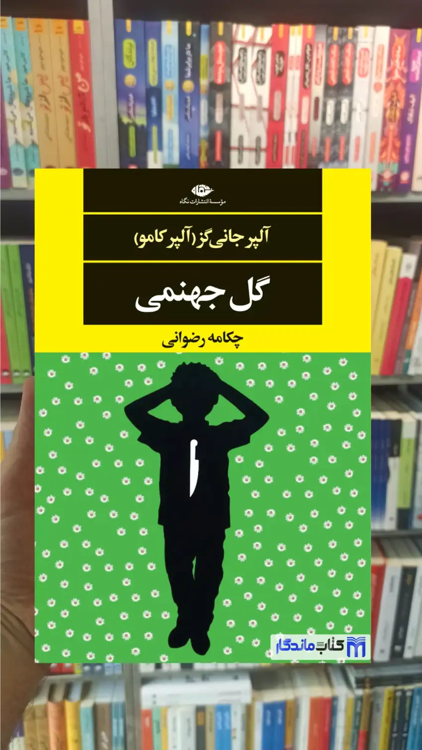 گل جهنمی آلپر جانی گز ( آلپر کامو ) نگاه
