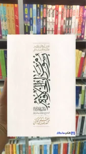 رسوم دارالخلافه صابی زرکوب کارنامه