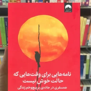 نامه هایی برای وقت هایی که حالت خوش نیست جولی اسمیت میلکان