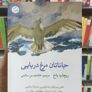 جاناتان مرغ دریایی ریچارد باخ نگاه