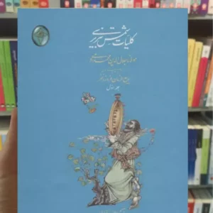 کلیات شمس تبریزی 2جلدی گلاسه فکر روز