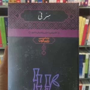 سر نی زرین کوب دوجلدی علمی