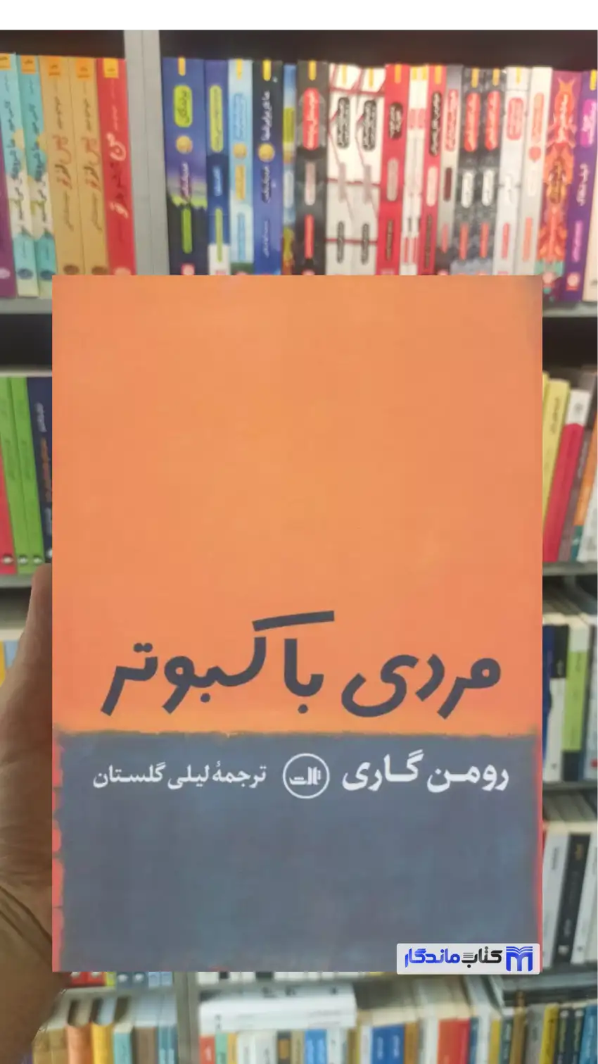 مردی با کبوتر رومن گاری ثالث